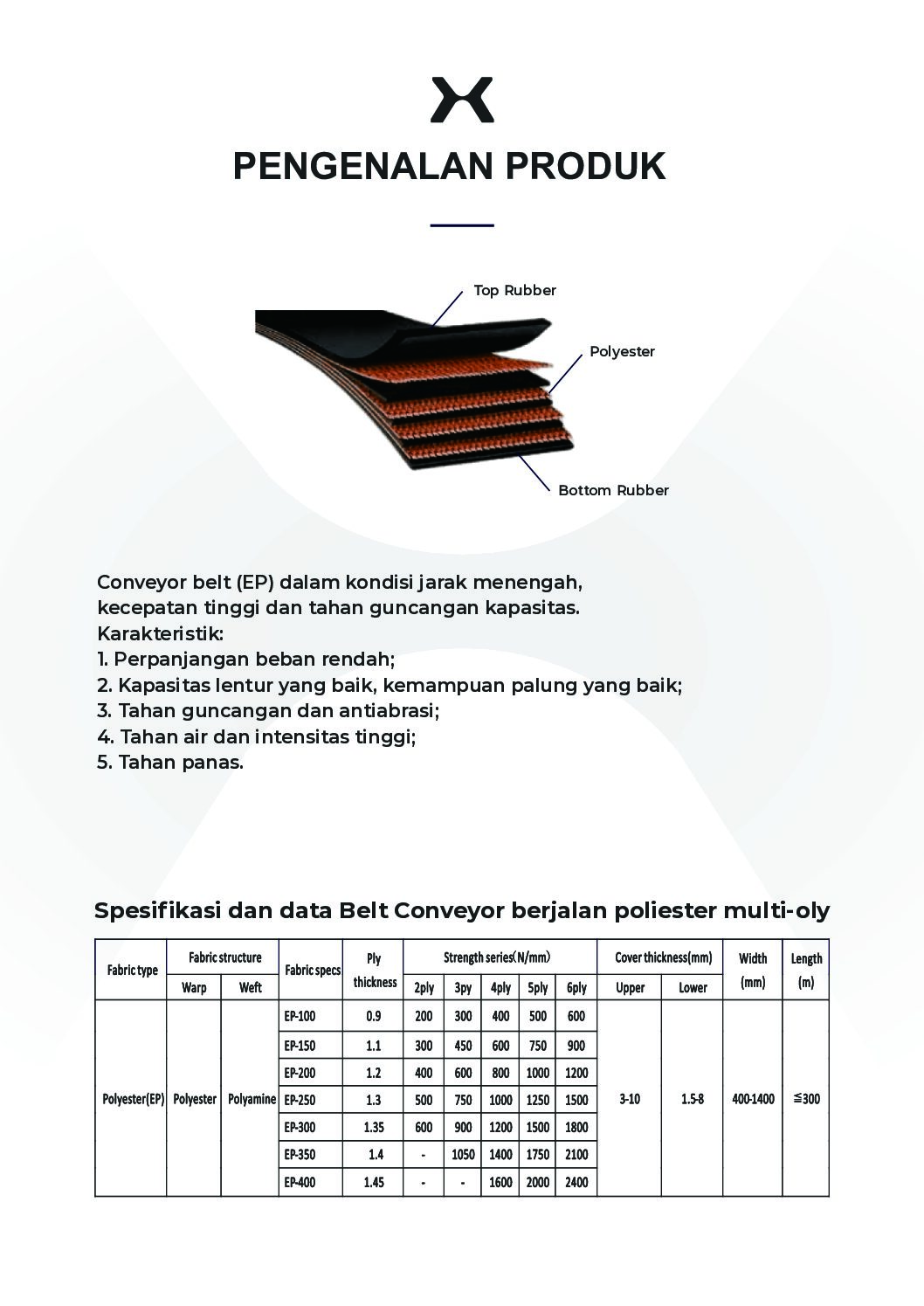 Belt Conveyor